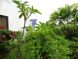 Duchess Road (D10), Detached #454944041